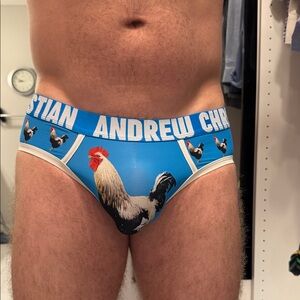 Andrew Christian Men's Blue Rooster Print Briefs